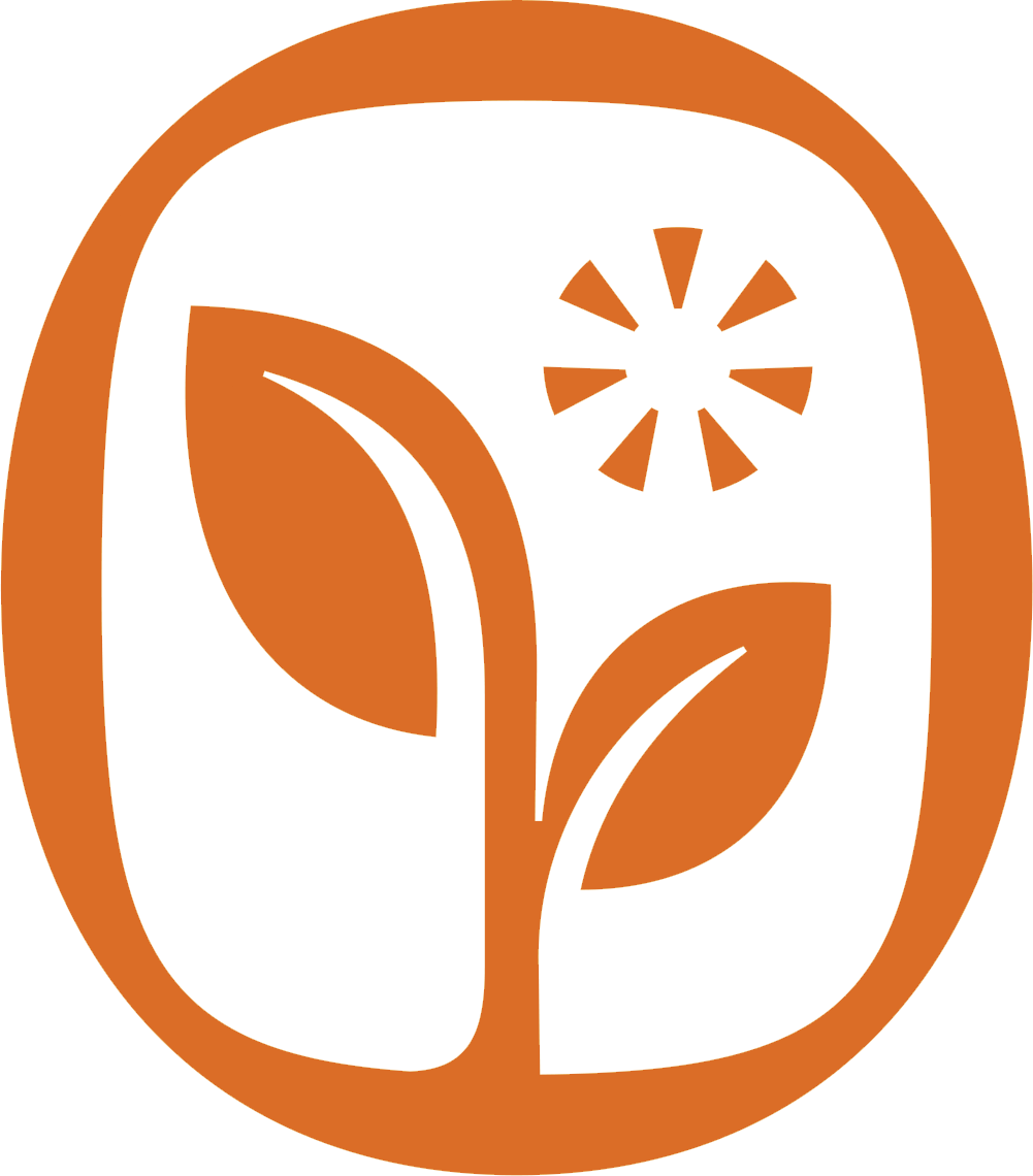 SEADS logo